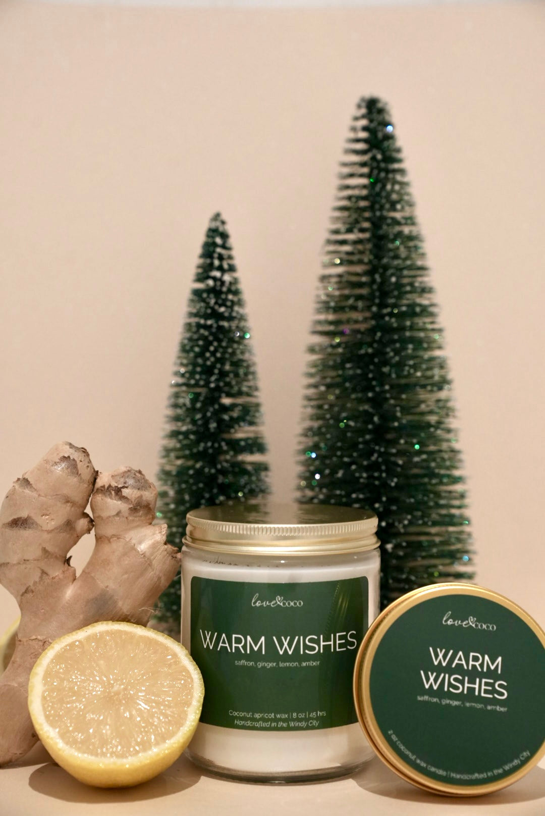 Warm Wishes – Cozy Holiday Coconut Wax Candle (Limited Edition)